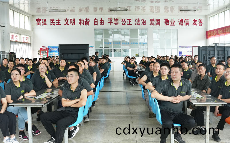 松(song)谷激光员工